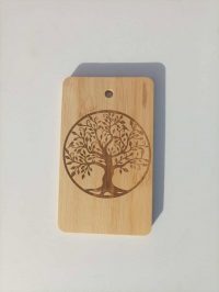 528343245_4148144122122380_9162697445927772102_n